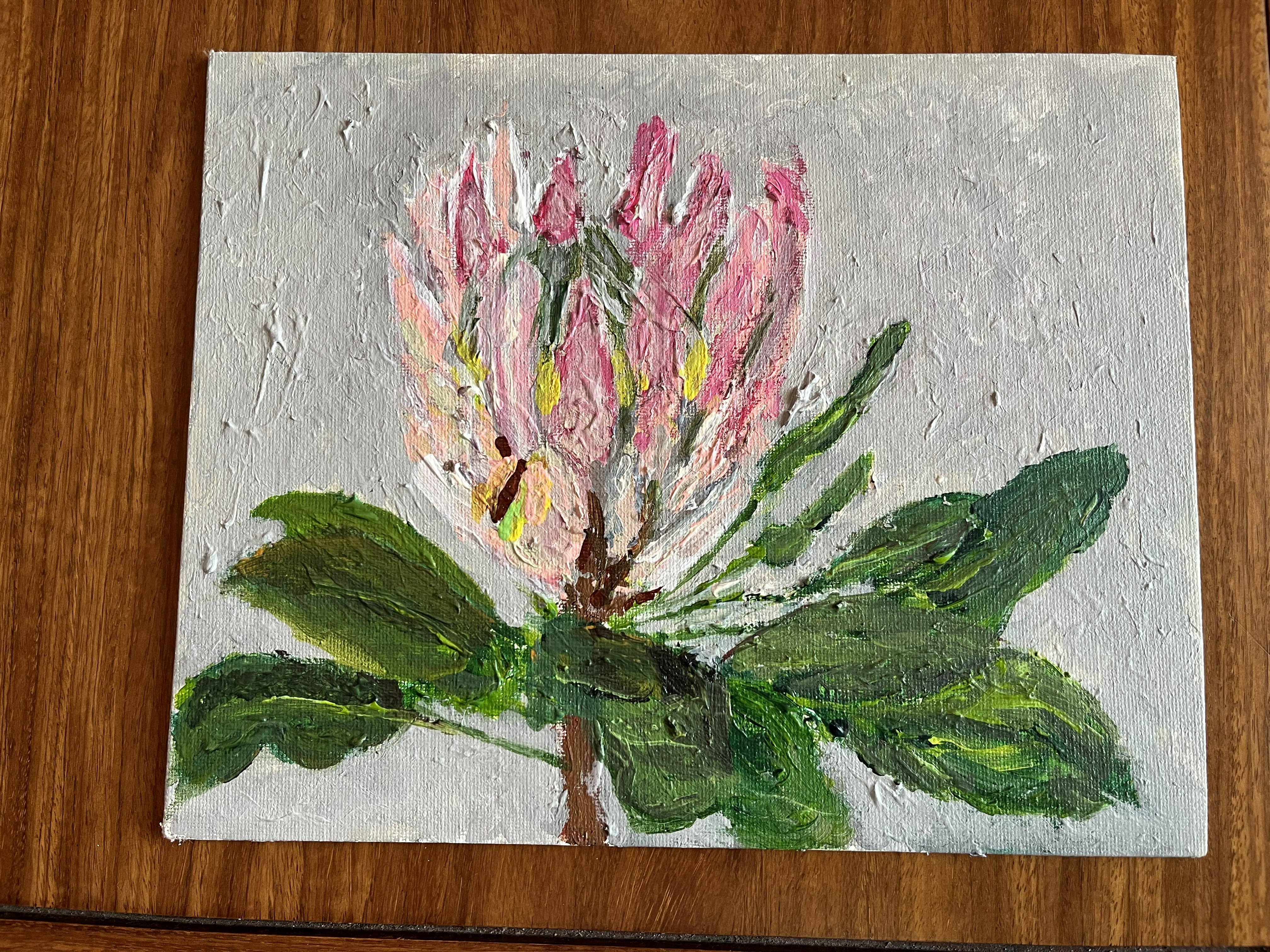 A king protea flower against a gray background